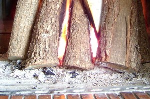 wood-burning fireplace with wood and ashes
