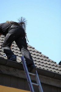 sweep climbing on ladder to roof