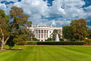 White House Chimneys