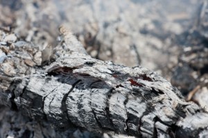 Wood Ash Removal - Asheville NC - Environmental Chimney