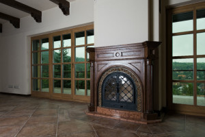 Chimney glass doors - Fairview NC - Environmental Chimney Service