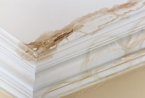 ceiling stain by the crown molding