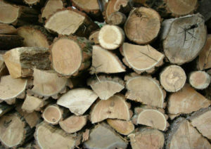 stacks of seasoned firewood
