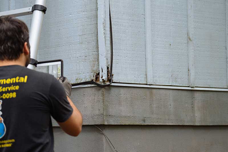 Technician taking photos of exterior chimney damage on an ipad